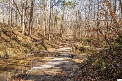0 Rodney Rd, Lorman, MS 39069 photo 7