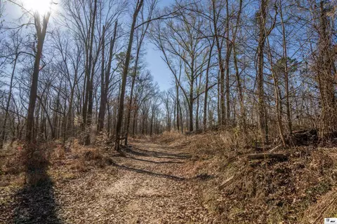 0 Rodney Rd, Lorman, MS 39069 photo 18
