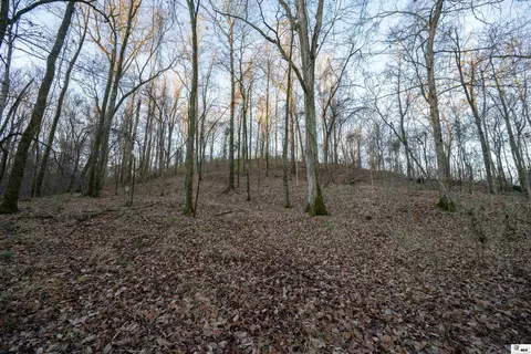 0 Highway 61, Fayette, GA 30969