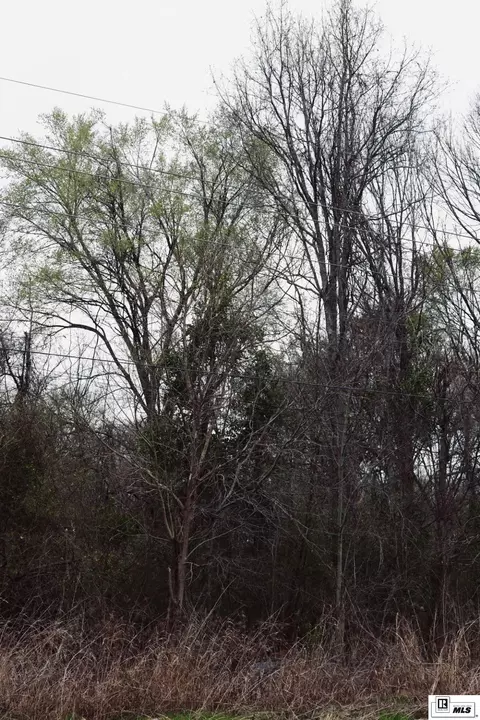 0 Highway 562, Wisner, LA 71378