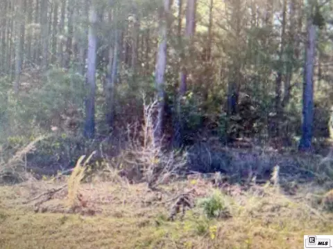 0 Tech Farm Rd, Ruston, LA 71270 photo 3