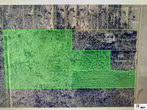 0 Tech Farm Rd, Ruston, LA 71270 photo 5