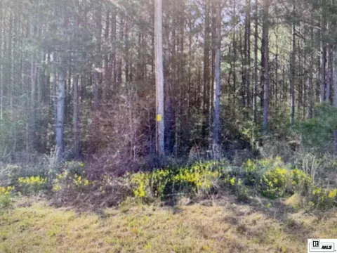 0 Tech Farm Rd, Ruston, LA 71270 photo 2