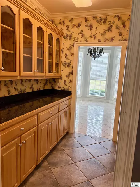 Other - 392 Tremont Dr, Ruston, LA 71270 photo 4 of 13