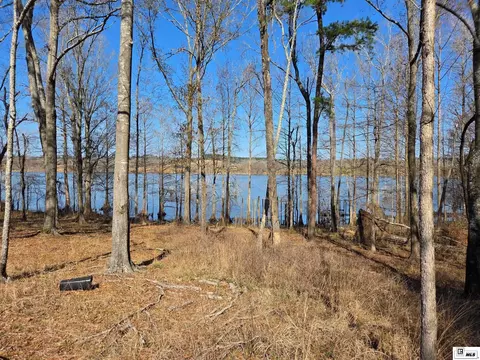 358 Lolley Rd, Downsville, LA 71234