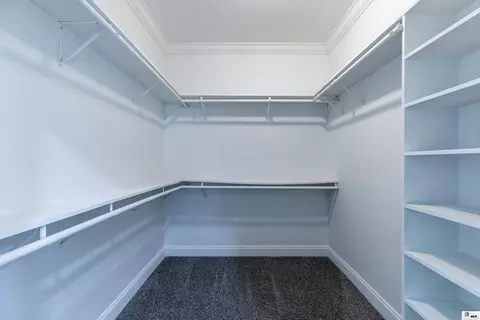 Other - 123 Lovemore Dr, Ruston, LA 71270 photo 6 of 7