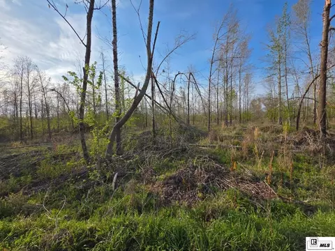 0 Carey Smith Rd, Mangham, LA 71259