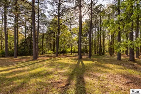 Other - 150 Burgessville Rd, Ruston, LA 71270 photo 7 of 8