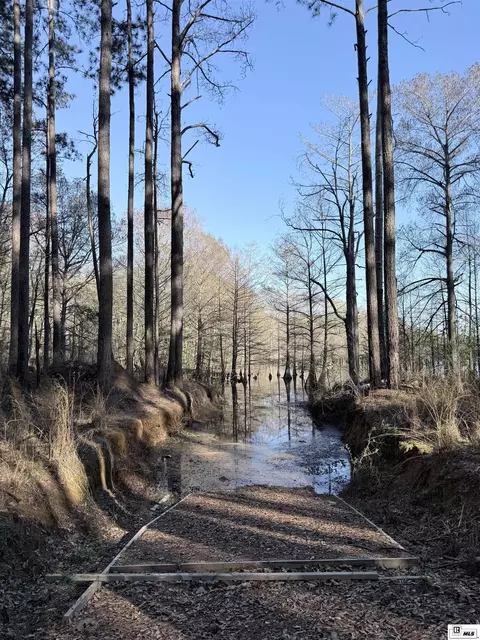 1187 Websters Bluff Rd, Farmerville, LA 71241