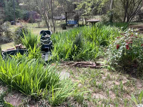 Exterior - 1501 Caddo St, Ruston, LA 71270 photo 5 of 6