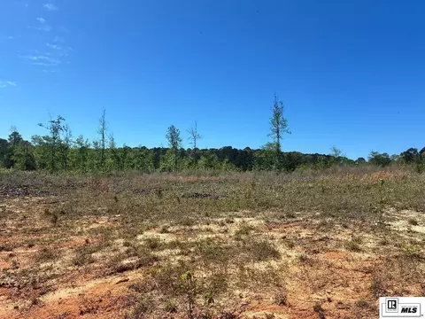 0 Highway 828, Farmerville, LA 71040