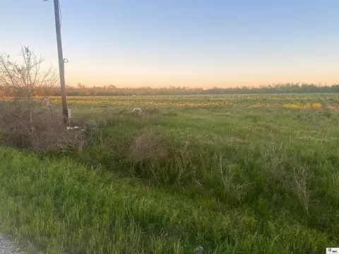 0 Caston Rd, Rayville, LA 71269