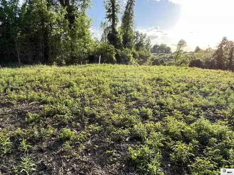 613 Evans St, Ruston, LA 71270 photo 6