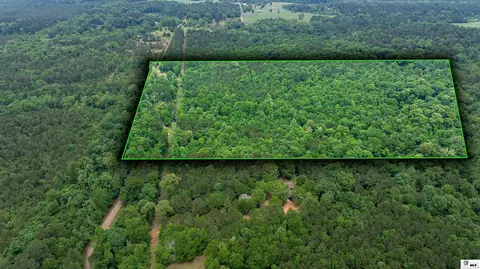 0 Carroll Brashier Rd, Downsville, LA 71234