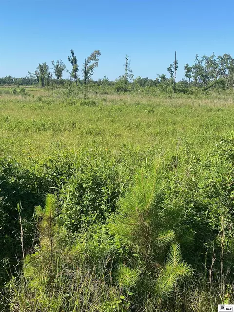 0 Charlie Kie Rd, Holly Ridge, LA 71269
