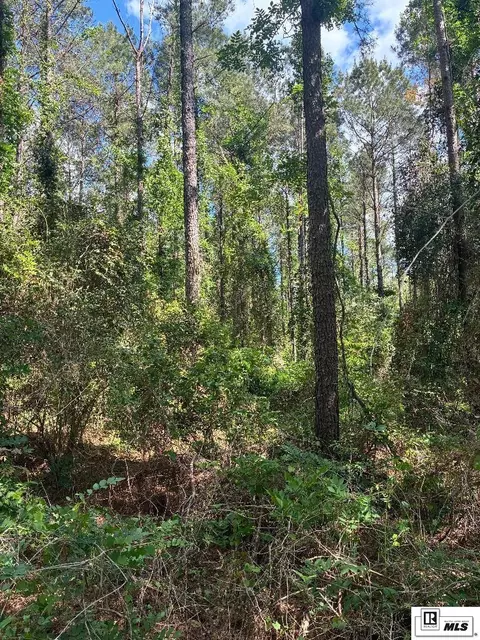 000 Arnold Rd, Choudrant, LA 71270