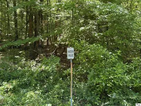 000 Wheeler Rd, Marion, LA 71260 photo 4