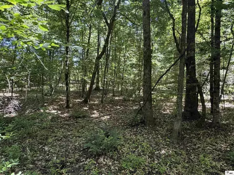 000 Wheeler Rd, Marion, LA 71260 photo 5