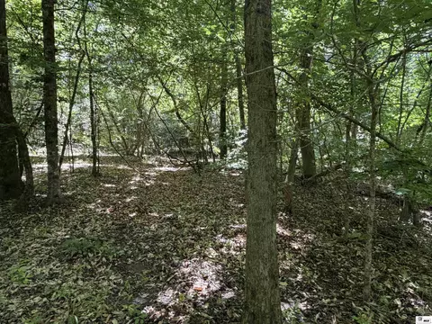 000 Wheeler Rd, Marion, LA 71260 photo 2