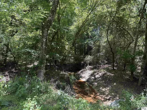 000 Wheeler Rd, Marion, LA 71260 photo 3