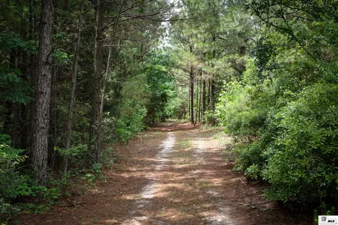1593 Longstraw Rd, Ruston, LA 71270 photo 45