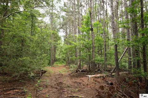 1593 Longstraw Rd, Ruston, LA 71270 photo 26