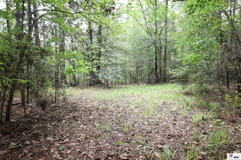 1593 Longstraw Rd, Ruston, LA 71270 photo 25