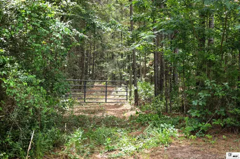 1593 Longstraw Rd, Ruston, LA 71270 photo 43