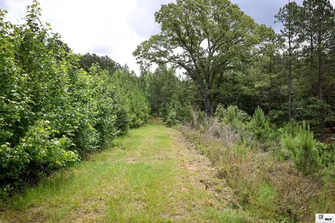 1593 Longstraw Rd, Ruston, LA 71270 photo 46