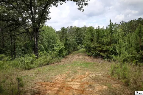 1593 Longstraw Rd, Ruston, LA 71270 photo 47