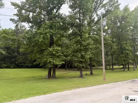 0 Beechwood Loop, Urania, LA 71480 photo 5