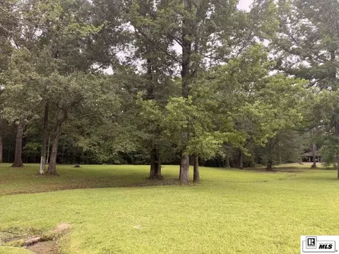 0 Beechwood Loop, Urania, LA 71480 photo 13