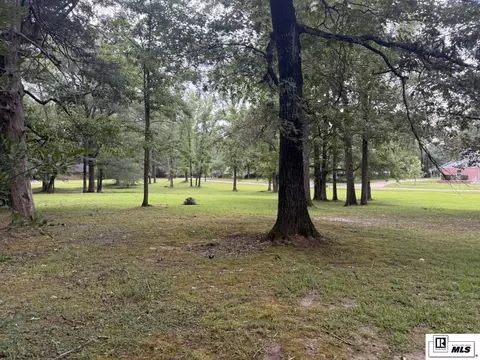 0 Beechwood Loop, Urania, LA 71480 photo 11