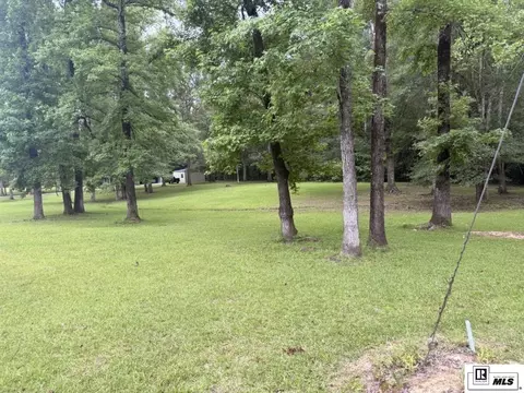 0 Beechwood Loop, Urania, LA 71480 photo 10