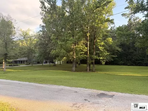0 Beechwood Loop, Urania, LA 71480 photo 9