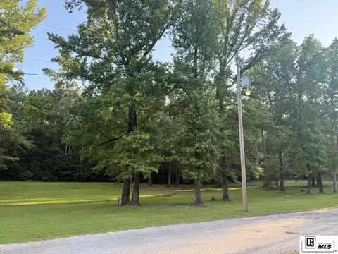 0 Beechwood Loop, Urania, LA 71480 photo 7