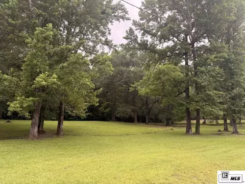0 Beechwood Loop, Urania, LA 71480 photo 3