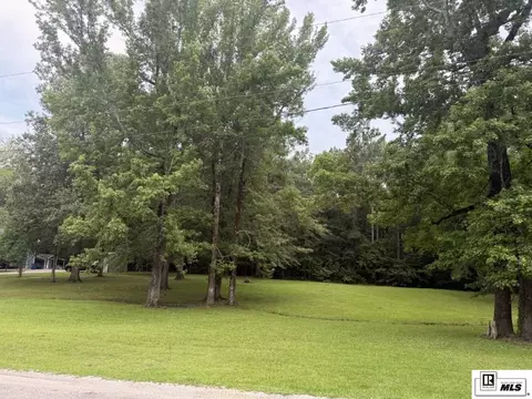 0 Beechwood Loop, Urania, LA 71480 photo 4