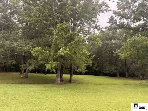 0 Beechwood Loop, Urania, LA 71480 photo 2