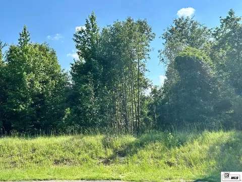 000 N Pointe Dr, Downsville, LA 71234