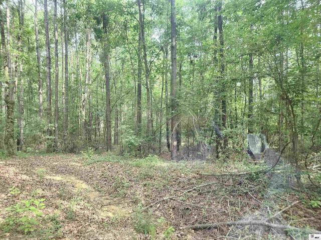 00 Seven Runs Rd, Columbia, LA 71418