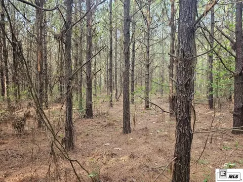 000 County Line Rd, Ruston, LA 71270 photo 1
