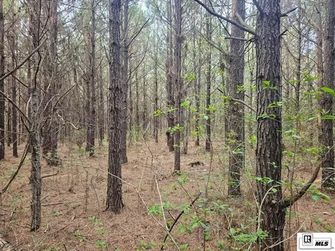 000 County Line Rd, Ruston, LA 71270 photo 4