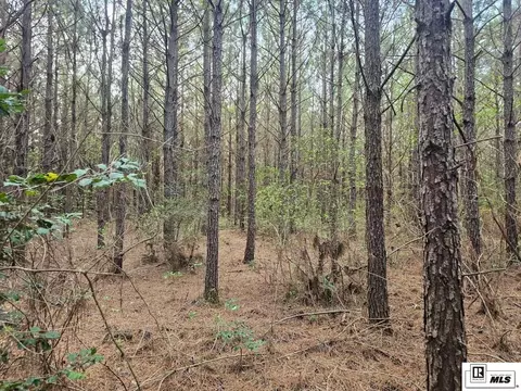 000 County Line Rd, Ruston, LA 71270 photo 5