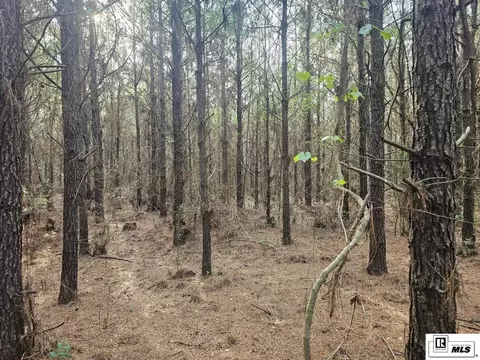 000 County Line Rd, Ruston, LA 71270 photo 2