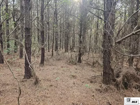 000 County Line Rd, Ruston, LA 71270 photo 3