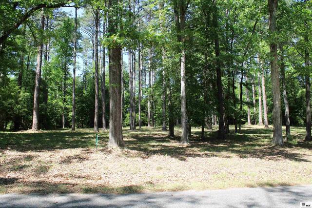 356 Woodsway Cir, Chatham, LA 71226