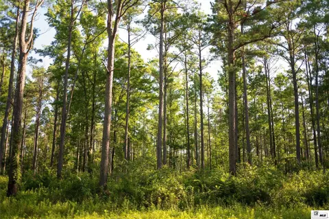 0 Carpenter Rd, Bastrop, LA 71220 photo 39