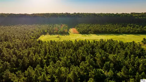 0 Carpenter Rd, Bastrop, LA 71220 photo 8