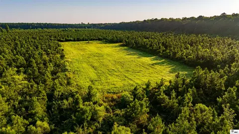 0 Carpenter Rd, Bastrop, LA 71220 photo 6